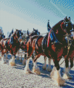 Budweiser Clydesdales Diamond Painting