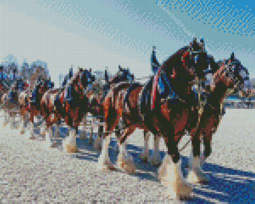 Budweiser Clydesdales Diamond Painting