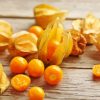 Cape Gooseberry Diamond Painting