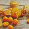 Cape Gooseberry Diamond Painting