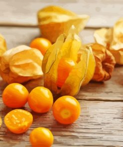 Cape Gooseberry Diamond Painting