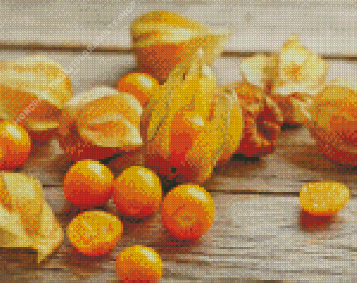 Cape Gooseberry Diamond Painting