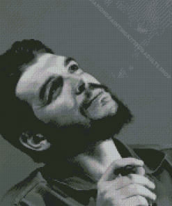 Che Guevara Black And White Diamond Painting