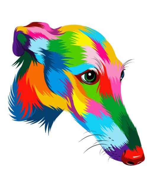 Colorful Greyhound Dog Head Diamond Painting