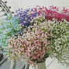 Colorful Gypsophila Vase Diamond Painting