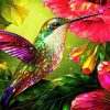 Colorful Hummingbird And Hibiscus Flowers Diamond Painting