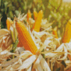 Corn Field Diamond Painting