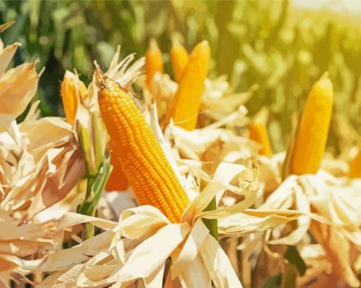 Corn Field Diamond Painting