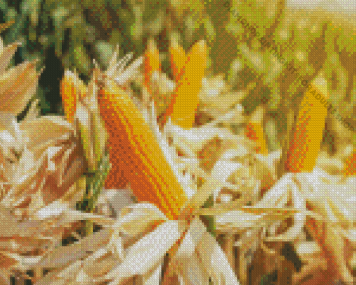 Corn Field Diamond Painting