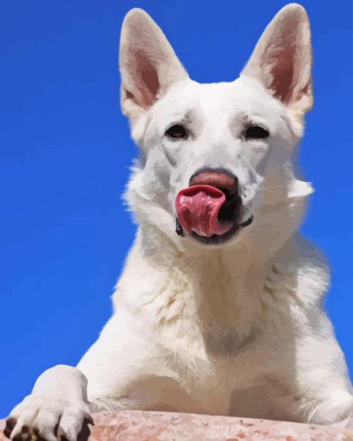 Cute American White Shepherd Diamond Painting