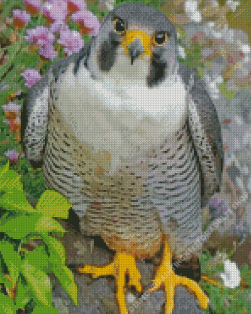 Cute Falcon Bird Diamond Painting