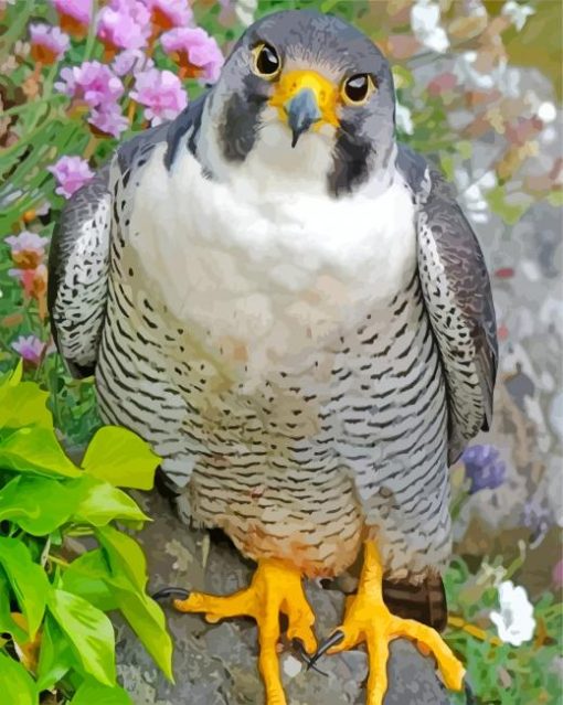 Cute Falcon Bird Diamond Painting