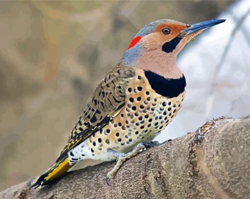 Cute Northern Flicker Diamond Painting