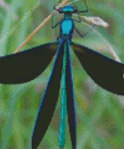 Dragonfly Diamond Painting