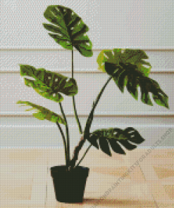 Faux Potted Monstera Plant Diamond Painting