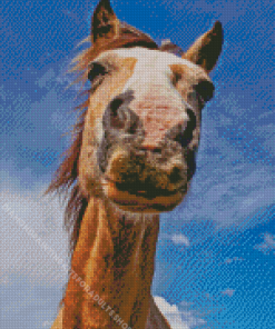 Funny Selfie Horse Diamond Painting