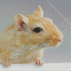 Gerbil Diamond Painting