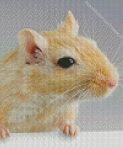 Gerbil Diamond Painting