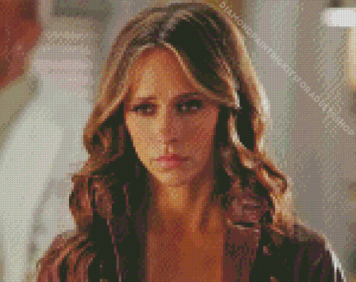 Ghost Whisperer Melinda Gordon Diamond Painting