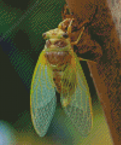 Green Cicada Insect Diamond Painting