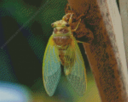 Green Cicada Insect Diamond Painting