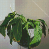 Green Droopy Plant Diamond Painting