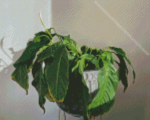 Green Droopy Plant Diamond Painting