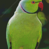 Green Kakariki Bird Diamond Painting