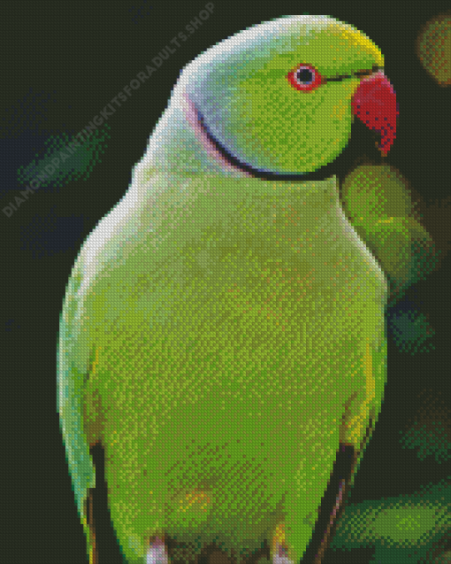 Green Kakariki Bird Diamond Painting