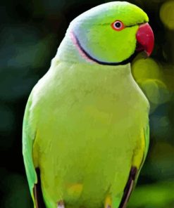 Green Kakariki Bird Diamond Painting