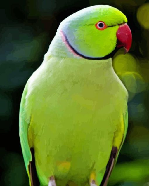 Green Kakariki Bird Diamond Painting