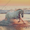 Horse Running At Beach Diamond Painting