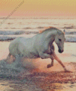 Horse Running At Beach Diamond Painting