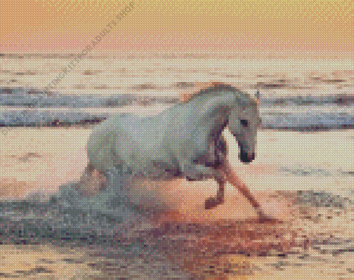 Horse Running At Beach Diamond Painting