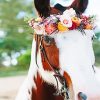 Horse With Flowers Diamond Painting