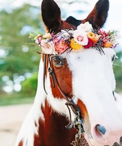 Horse With Flowers Diamond Painting