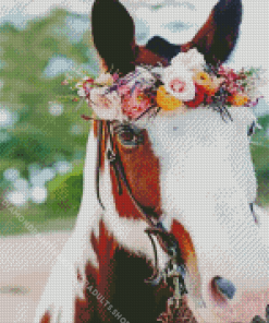 Horse With Flowers Diamond Painting