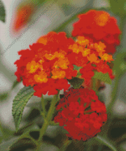 Lantana Flowering Plant Diamond Painting