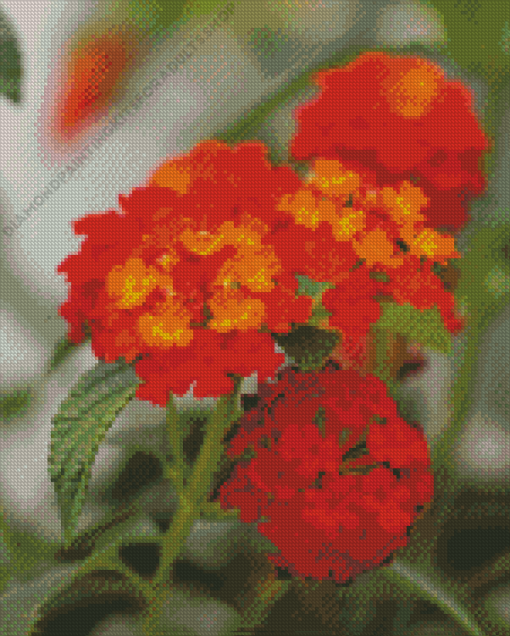 Lantana Flowering Plant Diamond Painting