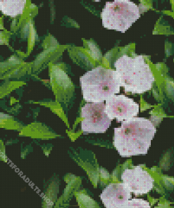 Mountain Laurel Plant Diamond Painting