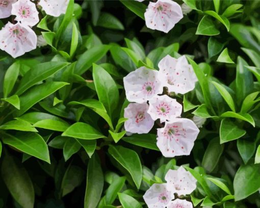 Mountain Laurel Plant Diamond Painting