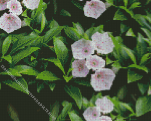 Mountain Laurel Plant Diamond Painting