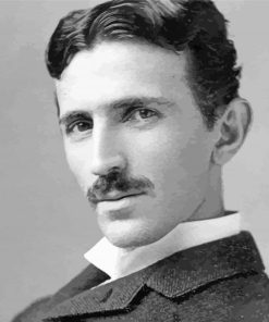 Nikola Tesla Black And White Diamond Painting