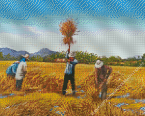 Paddy Field Art Diamond Painting