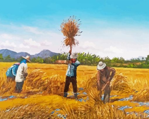 Paddy Field Art Diamond Painting