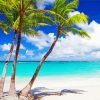 Palm Trees In Cozumel Beach Diamond Painting