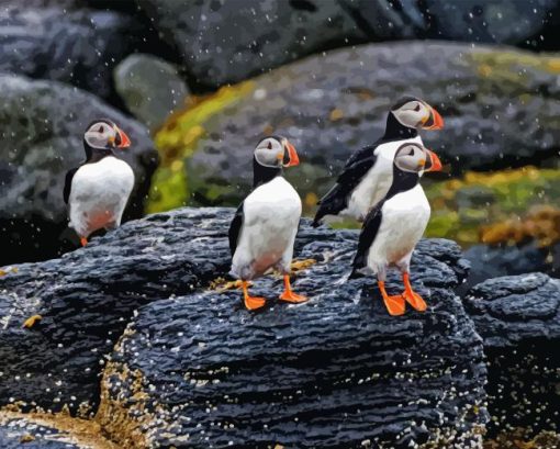 Puffins On Rocks In Rain Diamond Painting