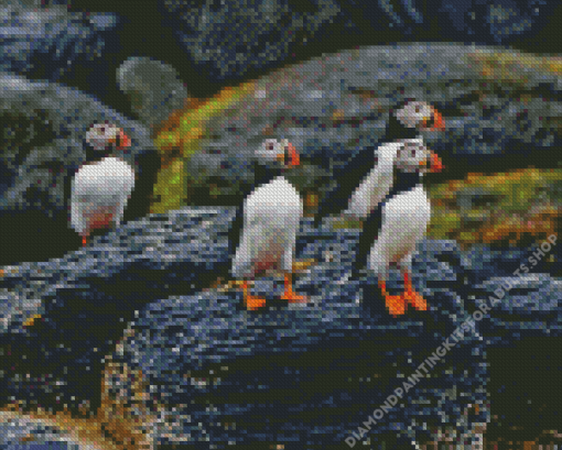 Puffins On Rocks In Rain Diamond Painting