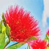 Red Pohutukawa Flower Diamond Painting