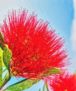 Red Pohutukawa Flower Diamond Painting